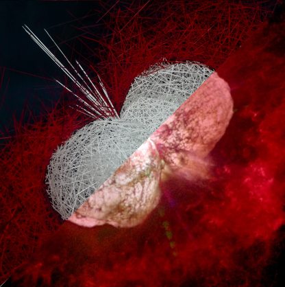 Cassiom Eta Carinae Sebastien Creteur vs reality v1